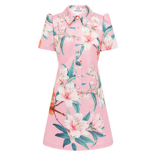 Brooke Short Sleeve Collared Mini Dress