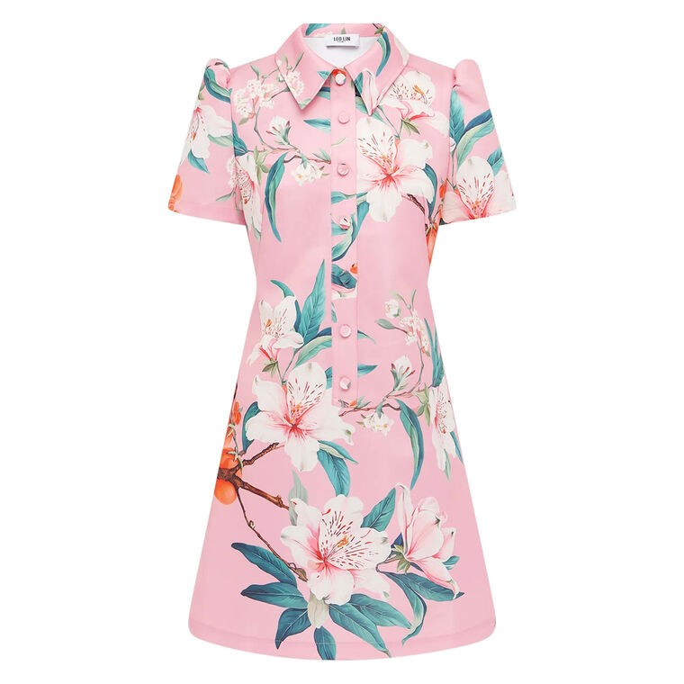 Brooke Short Sleeve Collared Mini Dress image number null
