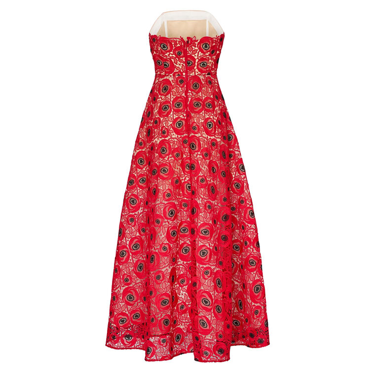 Netty Embroidered Lace Strapless Maxi Dress image number null