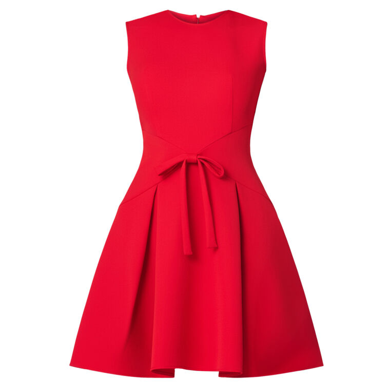 Hattie Sleeveless Fit And Flare Mini Dress image number null