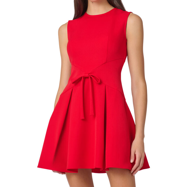 Hattie Sleeveless Fit And Flare Mini Dress image number null