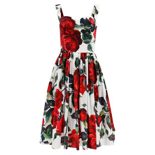 Roses Cotton Fit And Flare Dress