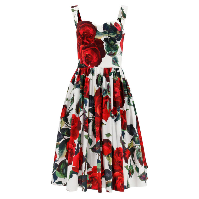 Roses Cotton Fit And Flare Dress image number null