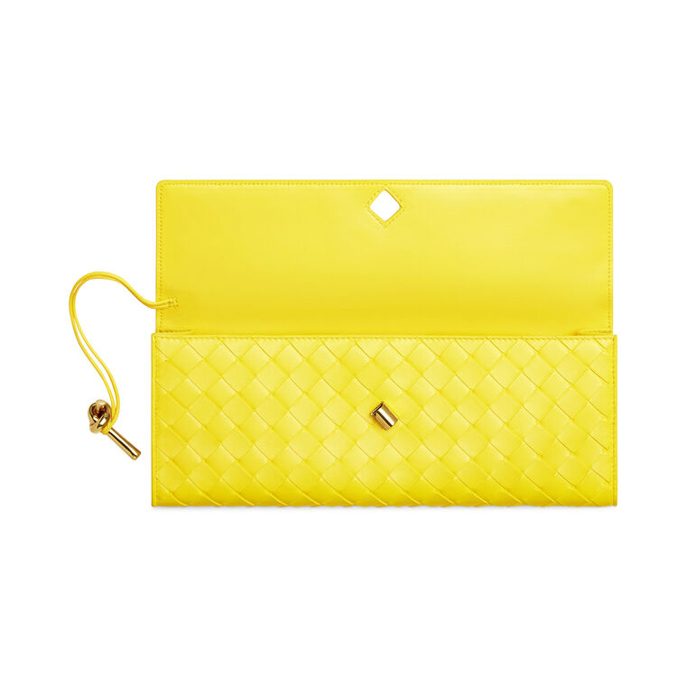 Andiamo Clutch image number null
