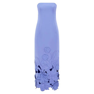 Rayna Applique Strapless Bustier Maxi Dress