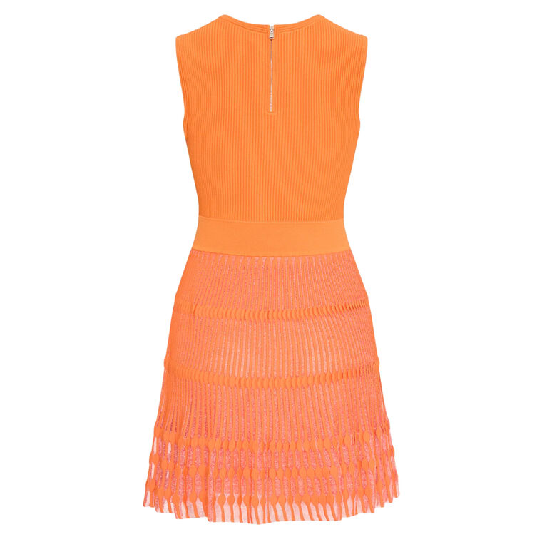 Sheer Knit Sleeveless Fit And Flare Mini Dress image number null