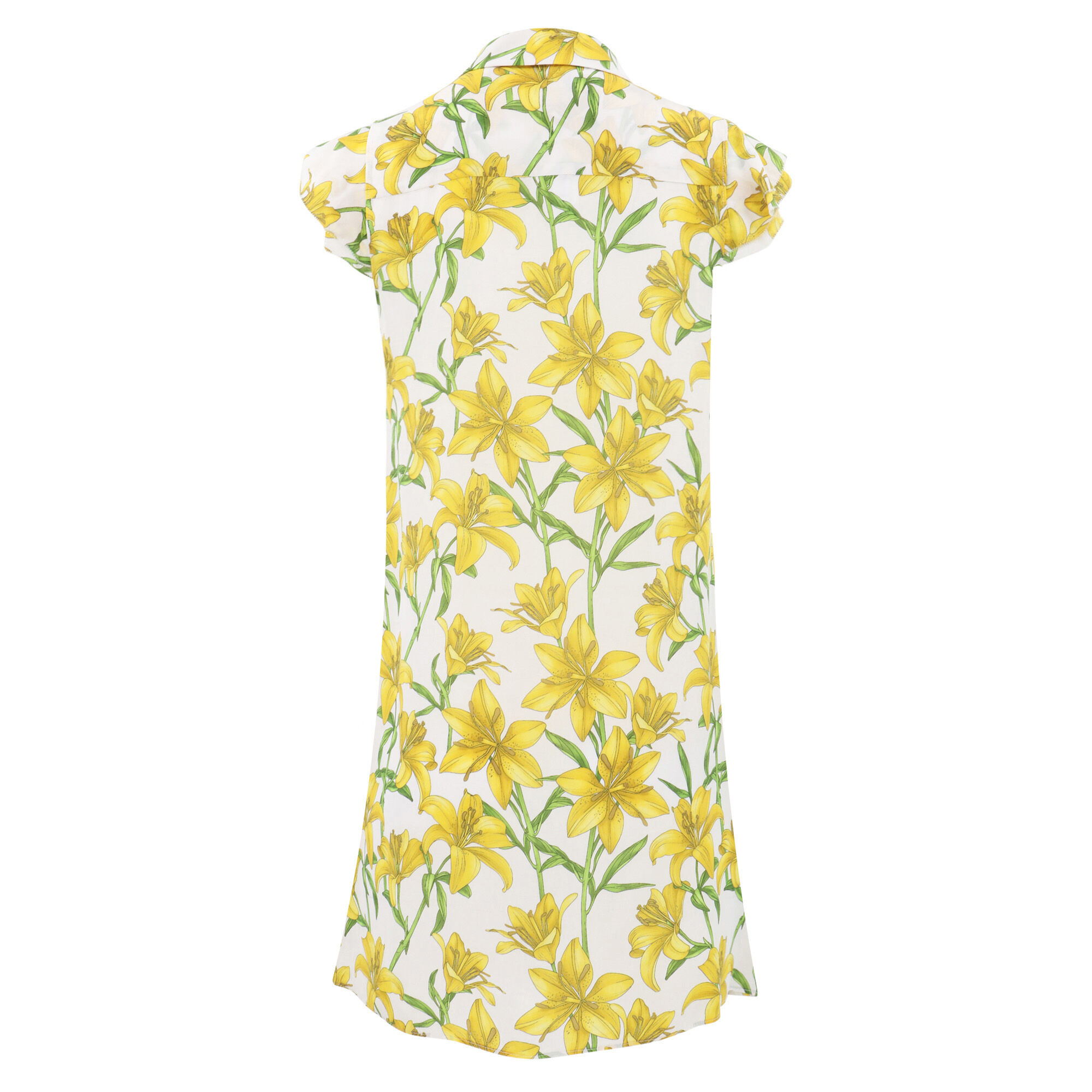 Alice Chiffon Blouse by Bodyline