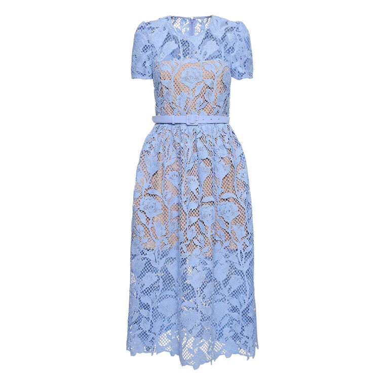 Lily Mesh Lace A-Line Midi-Dress image number null