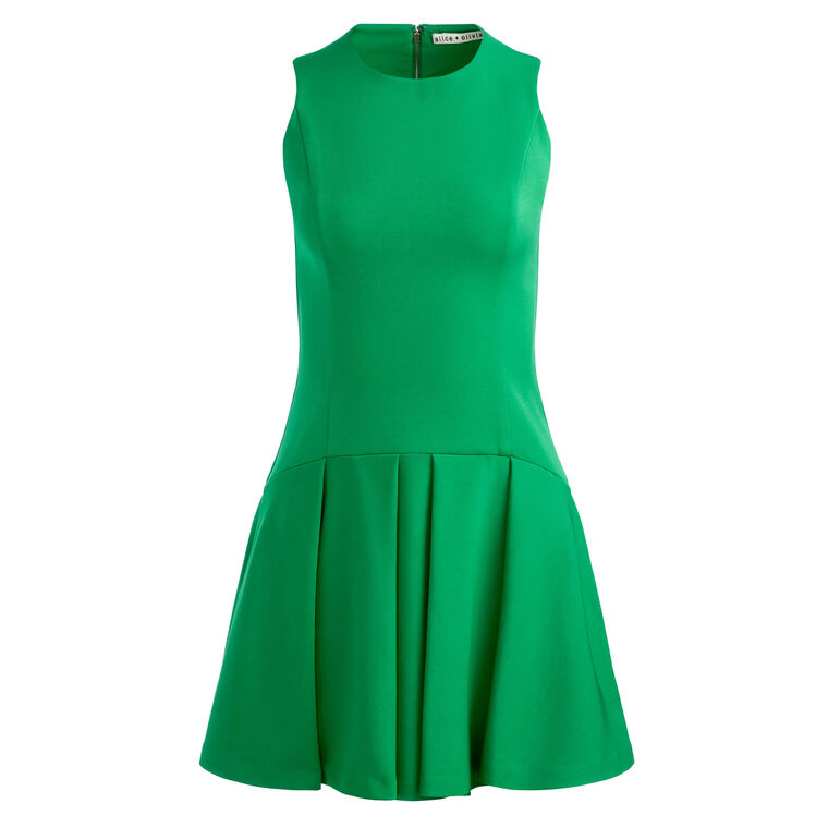 Adley Sleeveless Crew Neck Drop Waist Mini Dress image number null