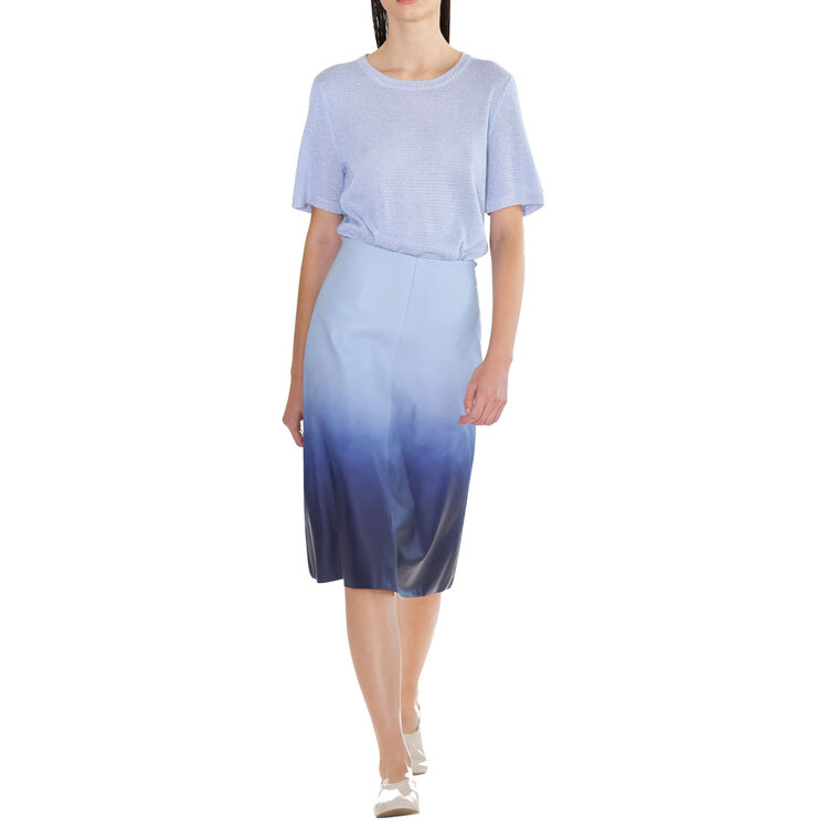 Lucien Ombre Leather Midi Skirt image number null