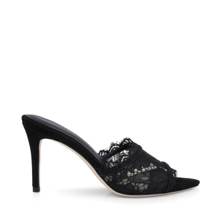 Penn Heel image number null
