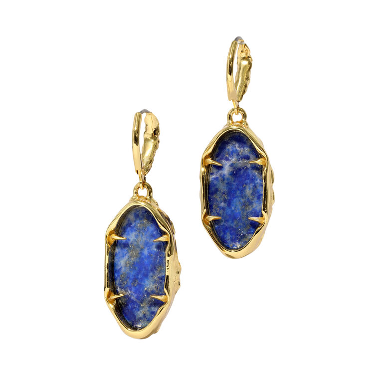 Brut Leverback Earrings image number null