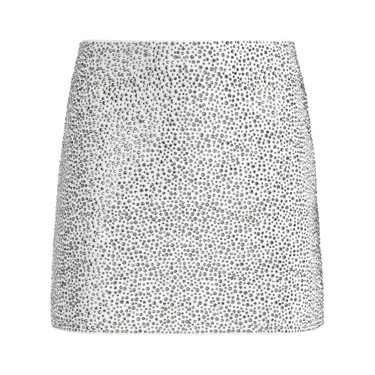 Riley Embellished A-Line Skirt image number null