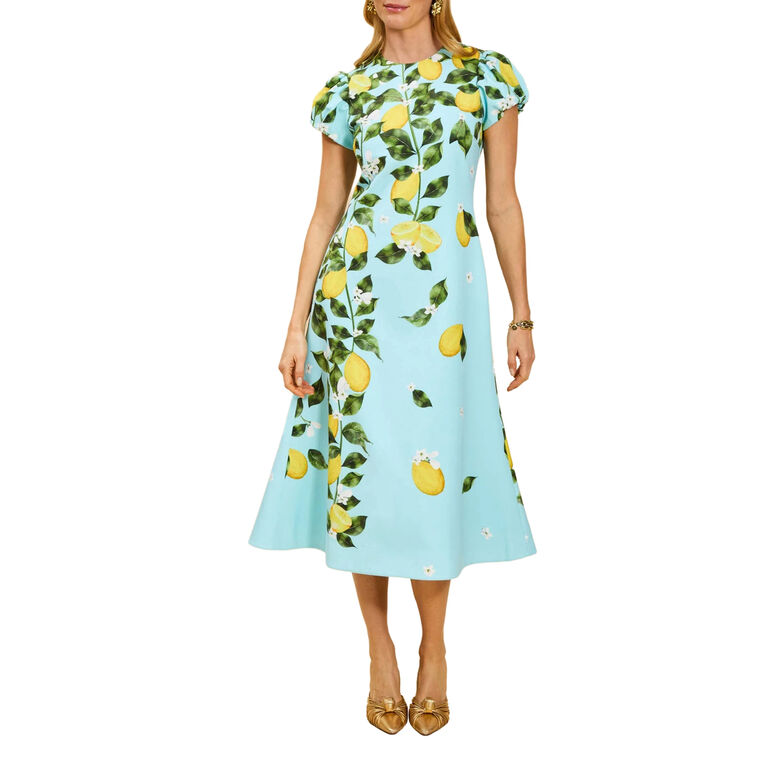 Perla Puff Sleeve Midi Dress image number null