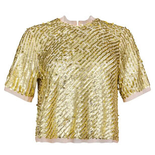 Pixie Short Sleeve Sequin Top