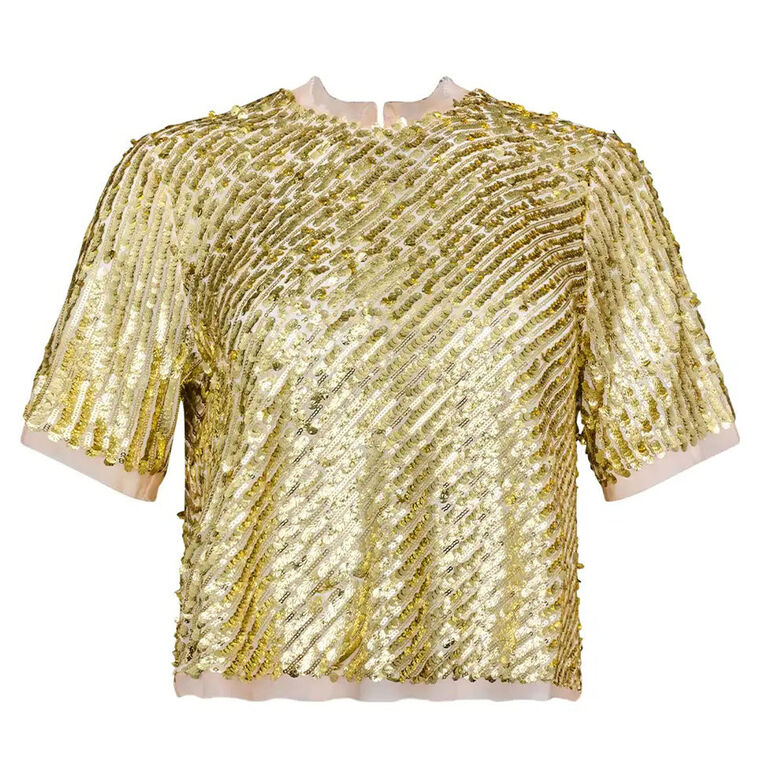 Pixie Short Sleeve Sequin Top image number null