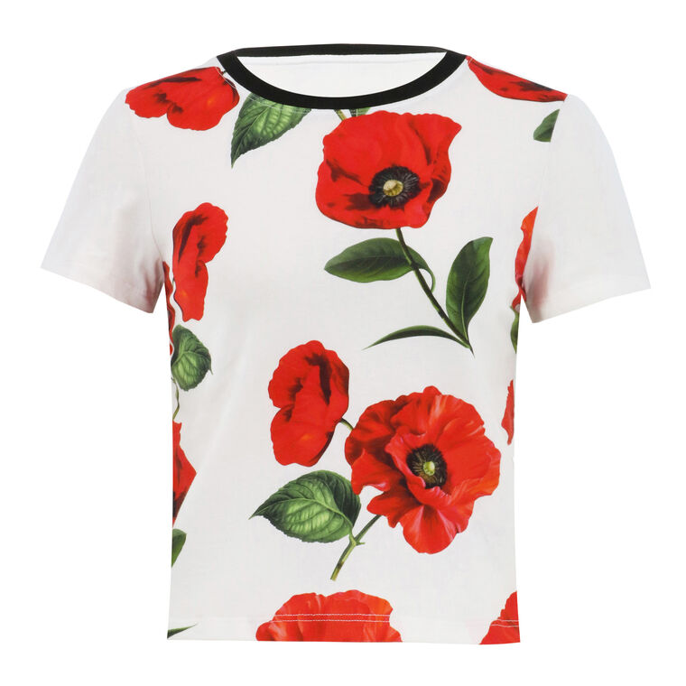Onie Short Sleeve Baby Ringer Tee image number null