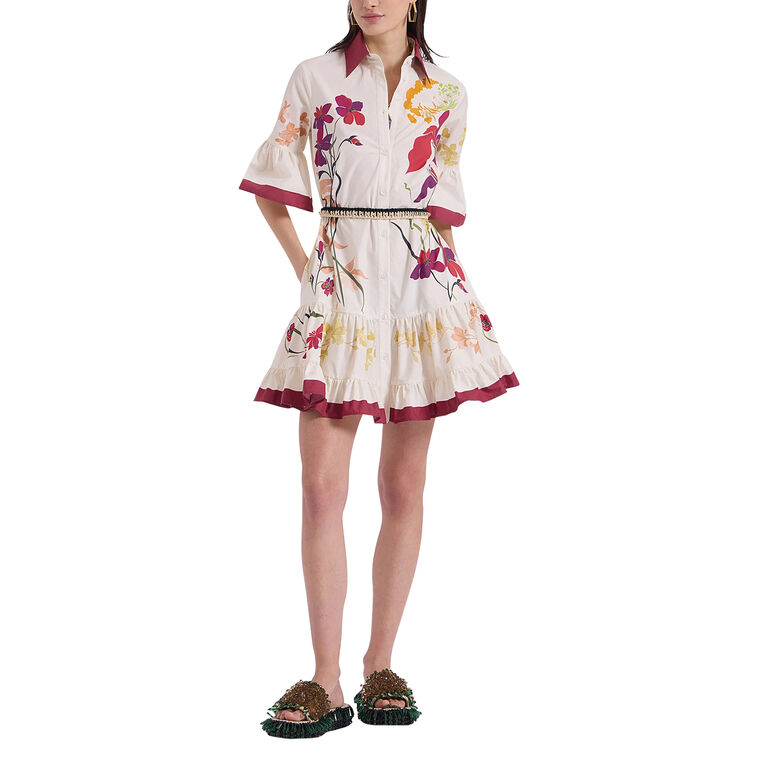 Choux Placee Collared Mini Dress image number null