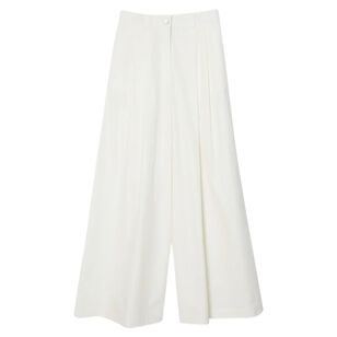 Wide-Leg Pleated Pants