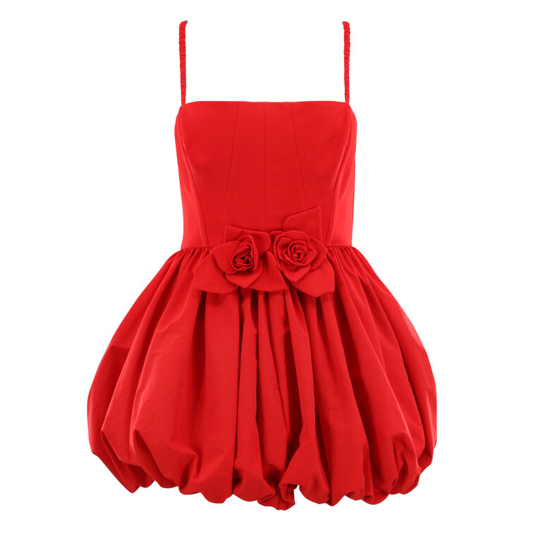 Anais Sleeveless Mini Dress With Floral Applique image number null