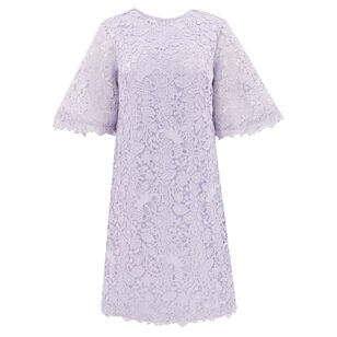 Flutter-Sleeve Lace Mini Shift Dress