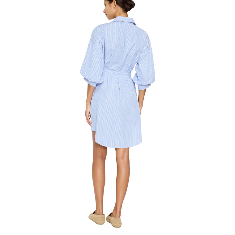 The Kate Belted Striped Dress image number null
