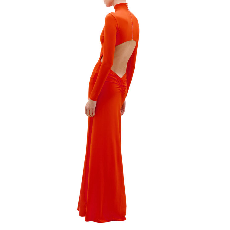 Birdy Long Sleeve High Neck Maxi Dress image number null