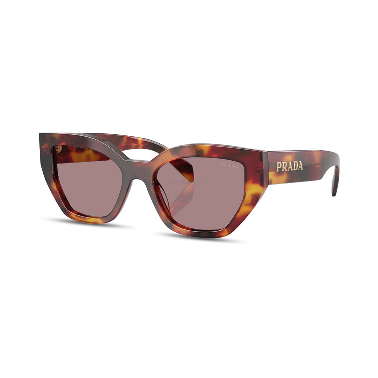 Cat-Eye Acetate Sunglasses image number null