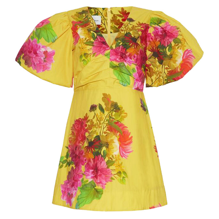 Aliza Dress image number null