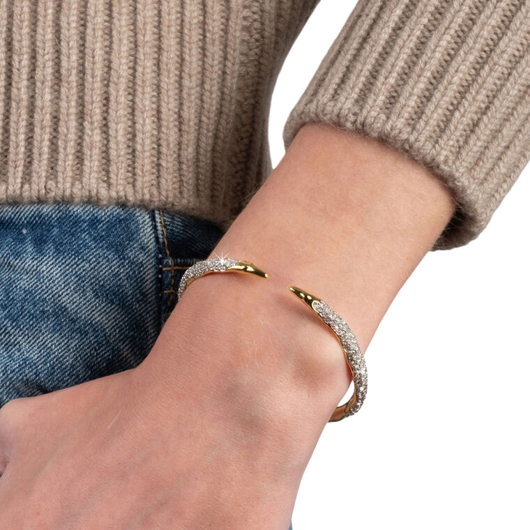 Solanales Spear Hinge Bracelet image number null
