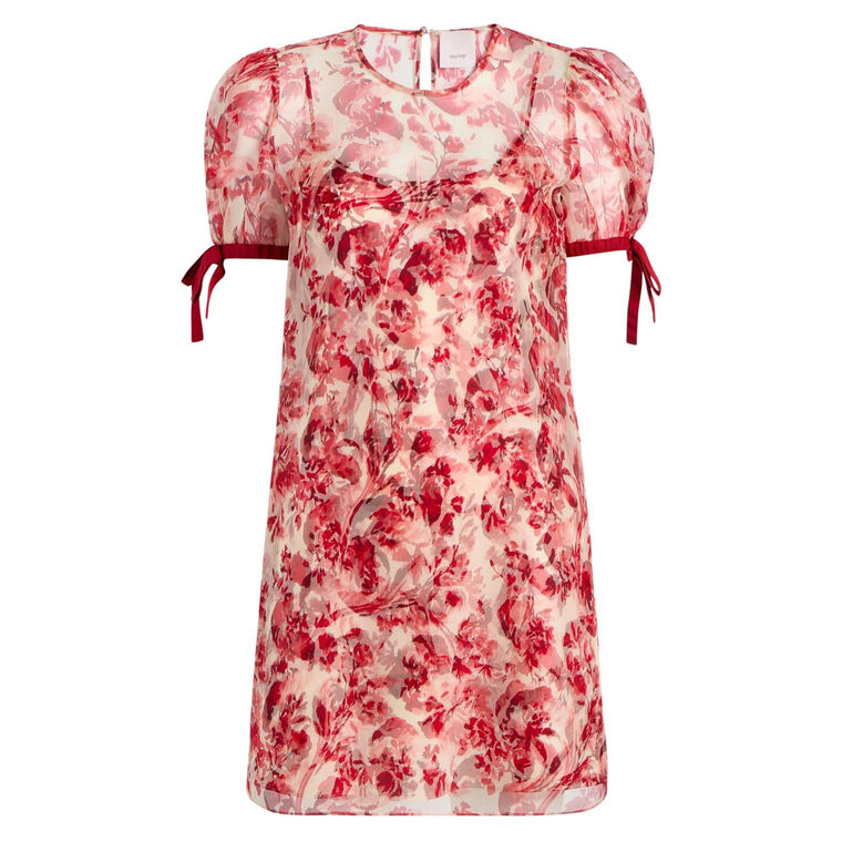 Floral Ribbons Junette Short Sleeve Mini Dress image number null