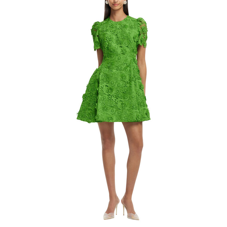 Elyse Lace Short Sleeve Mini Dress image number null