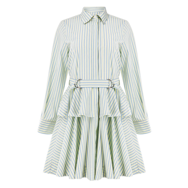Katherine Belted Button Down Dress image number null