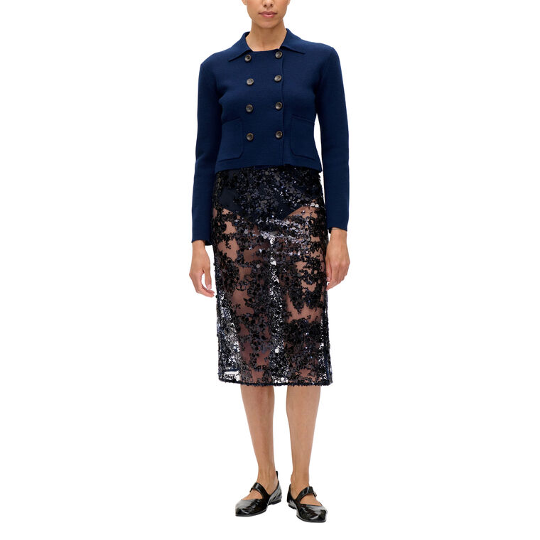 Shania Sheer Sequin Skirt image number null