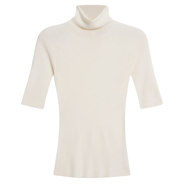Leenda Solid Regal Wool Short Sleeve Turtleneck image number null