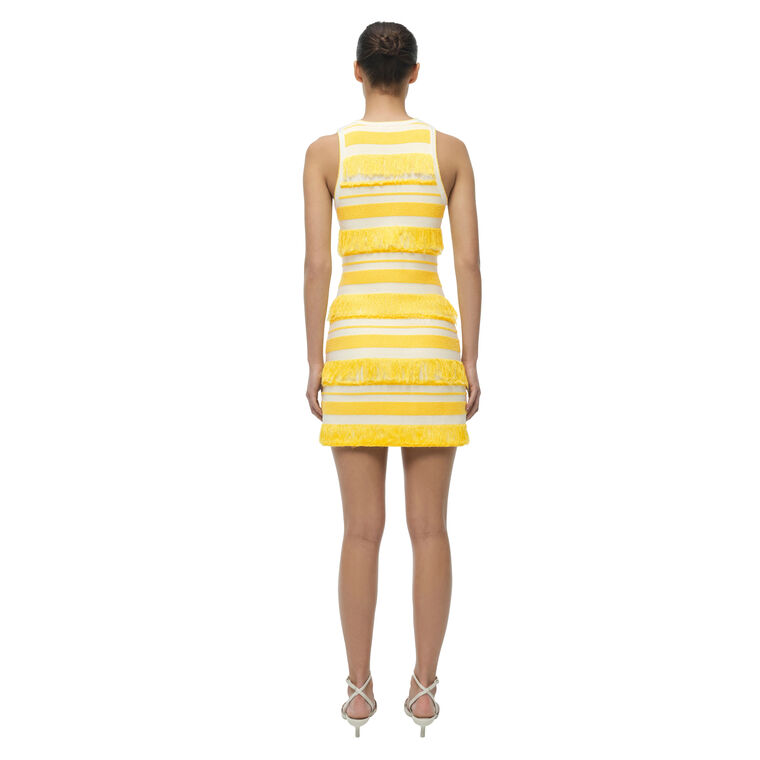 Elly Sleeveless Knit Stripe Mini Dress With Fringe image number null