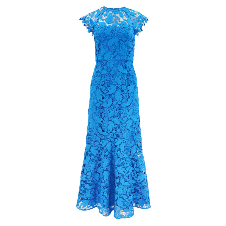 Raven Floral Lace Cap Sleeve Maxi Dress image number null