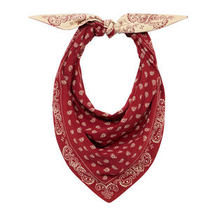 The Wild Rag Bandana