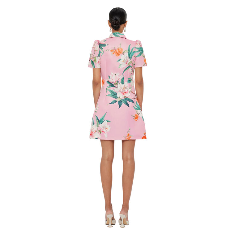 Brooke Short Sleeve Collared Mini Dress image number null