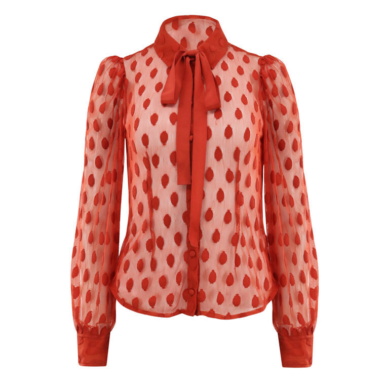 Soraya Lace Neck-Tie Blouse image number null