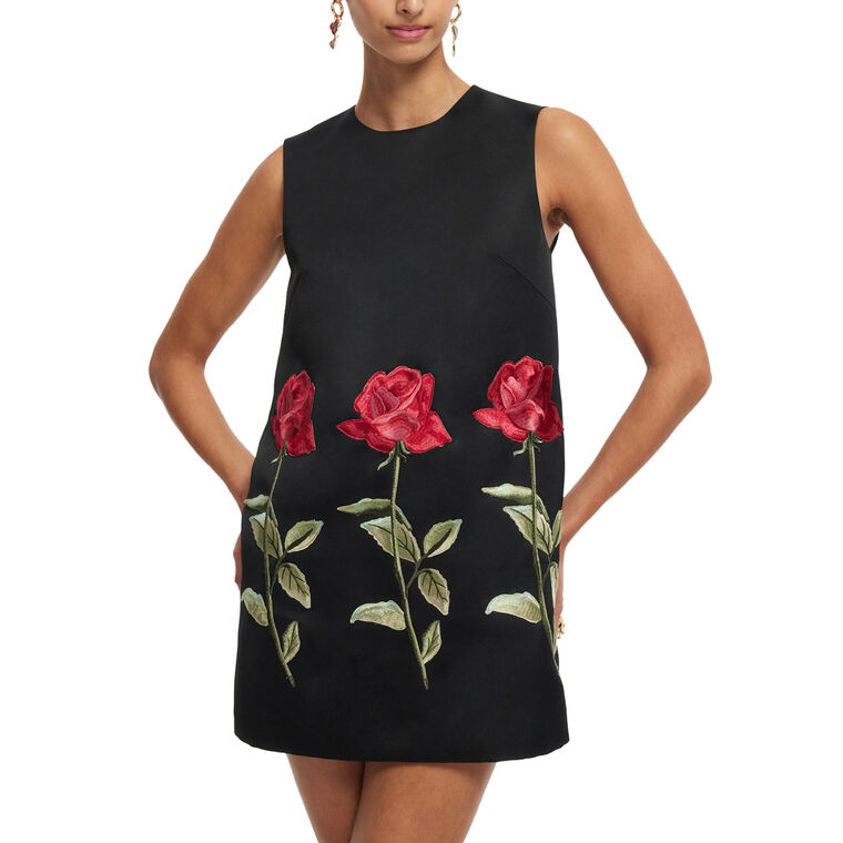 Yvonne Sleeveless Embroidered Mini Dress image number null