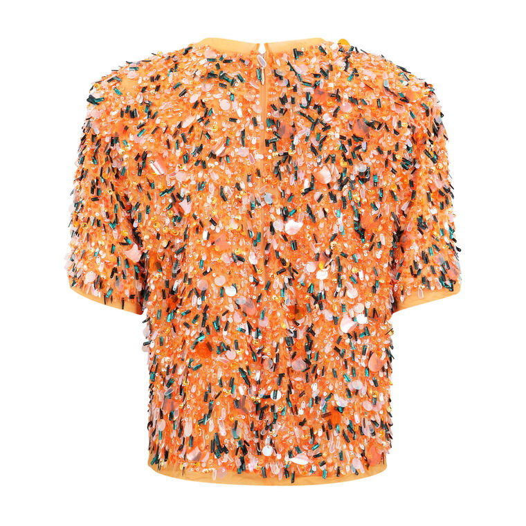 Shelby Sequins Top image number null