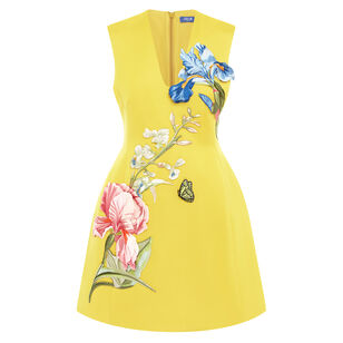 Bree Sleeveless V-Neck Embroidery Mini Dress