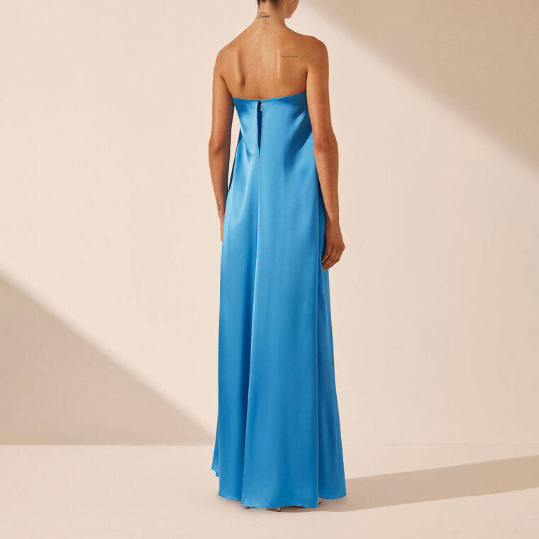 Ciel Silk Strapless Column Maxi Dress image number null