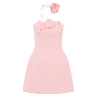 Roselle Applique Strapless Bustier Mini Dress