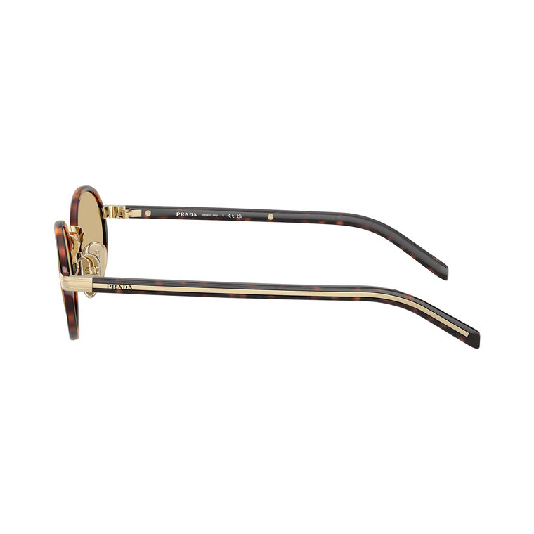 Round Steel Sunglasses image number null