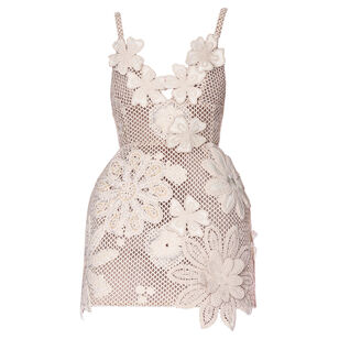 Tessa Sleeveless 3D Floral Crochet Mini Dress