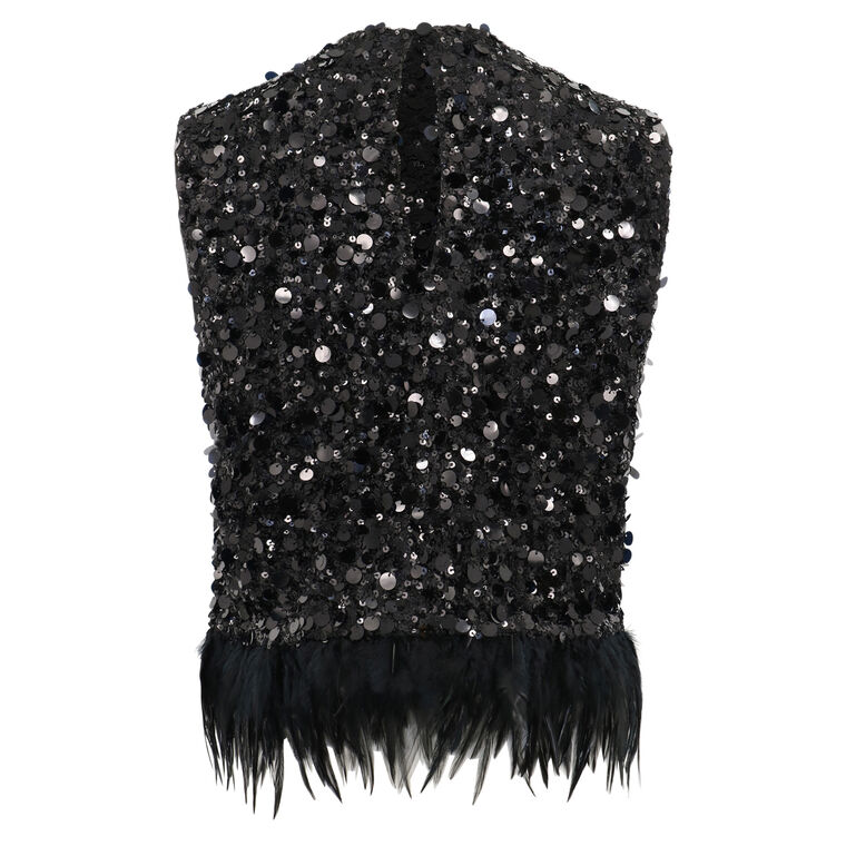 Cassidy Sequin and Feather Top