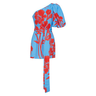 Lucia Mini Dress