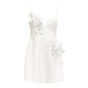 Billy Sleeveless 3D Floral Applique Mini Dress